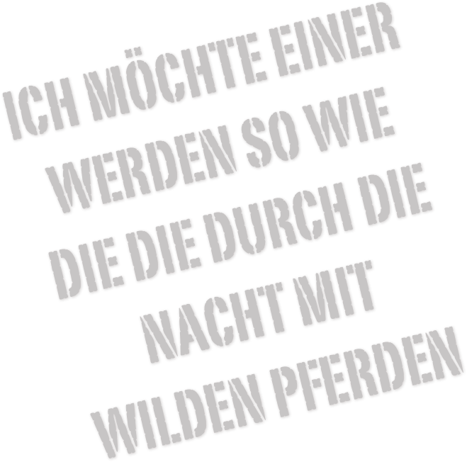 ich möchte einer werden so wie die die durch die nacht mit wilden Pferden